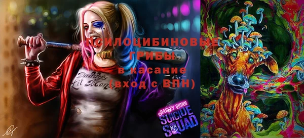 дживик Баксан