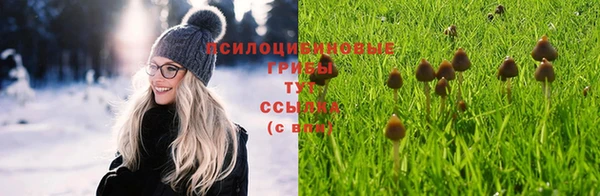 дживик Баксан