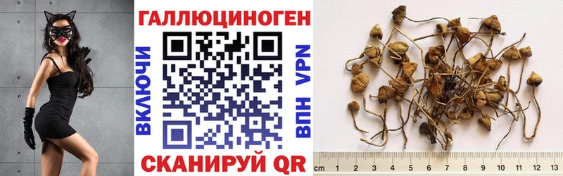 продажа наркотиков  Фёдоровский  Галлюциногенные грибы Magic Shrooms 